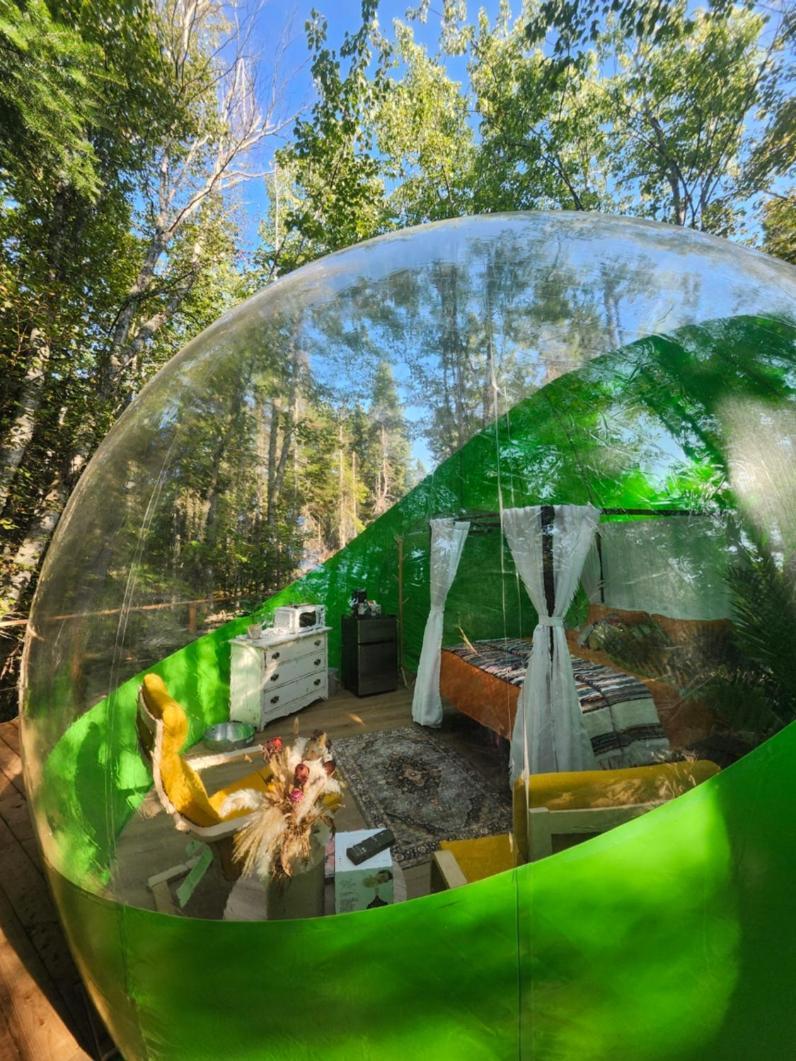מלון קרקט Estrella Glamping מראה חיצוני תמונה
